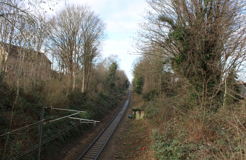 Trees along the railway